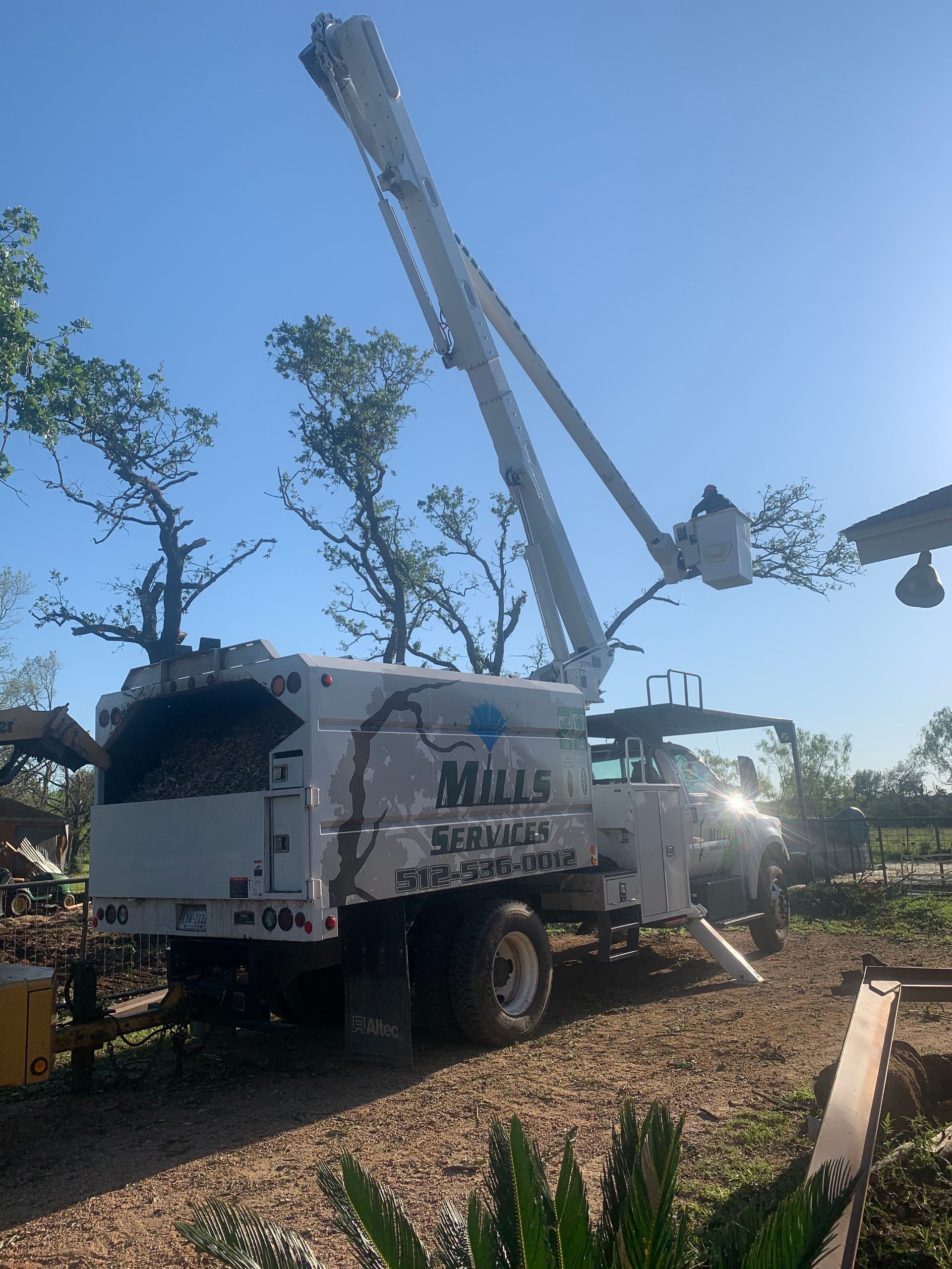 A mills tree service truck is parked in a yard