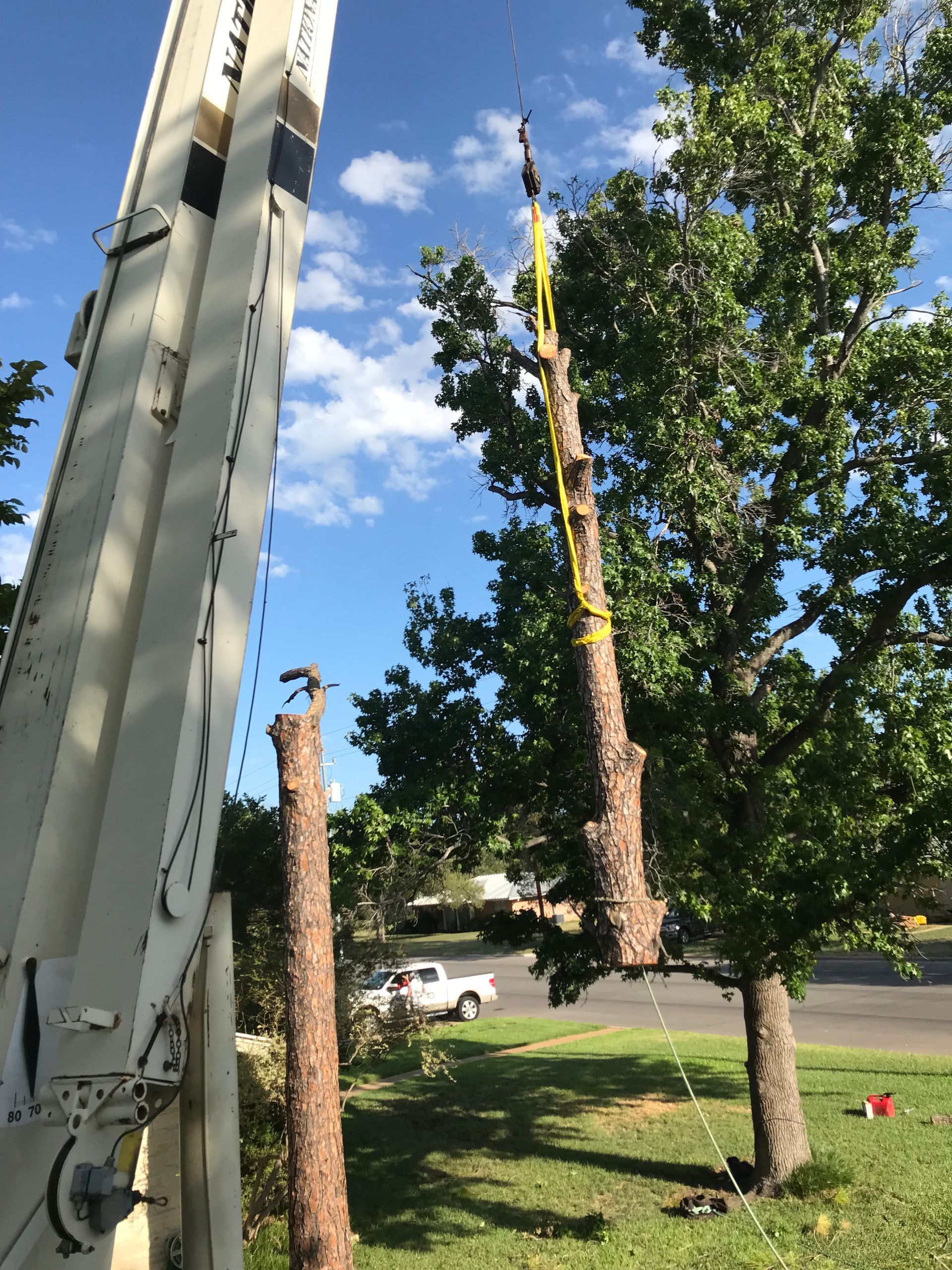 A crane is cutting down a tree in a yard.