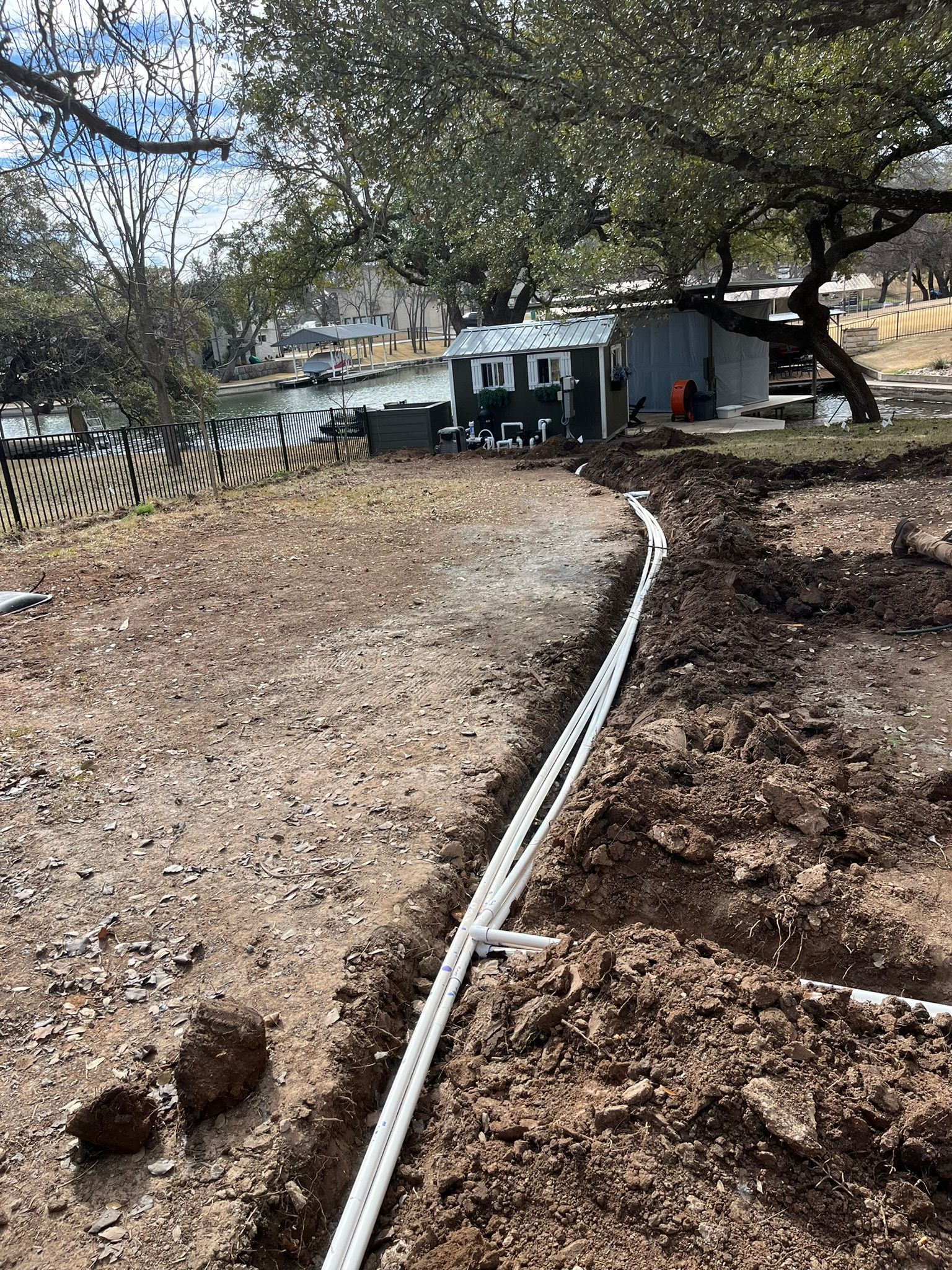 A hose is laying in the dirt next to a tree.