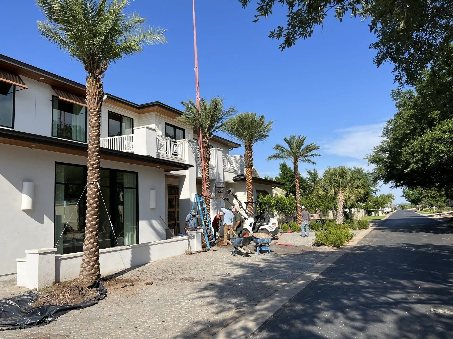 A large white building with palm trees in front of it