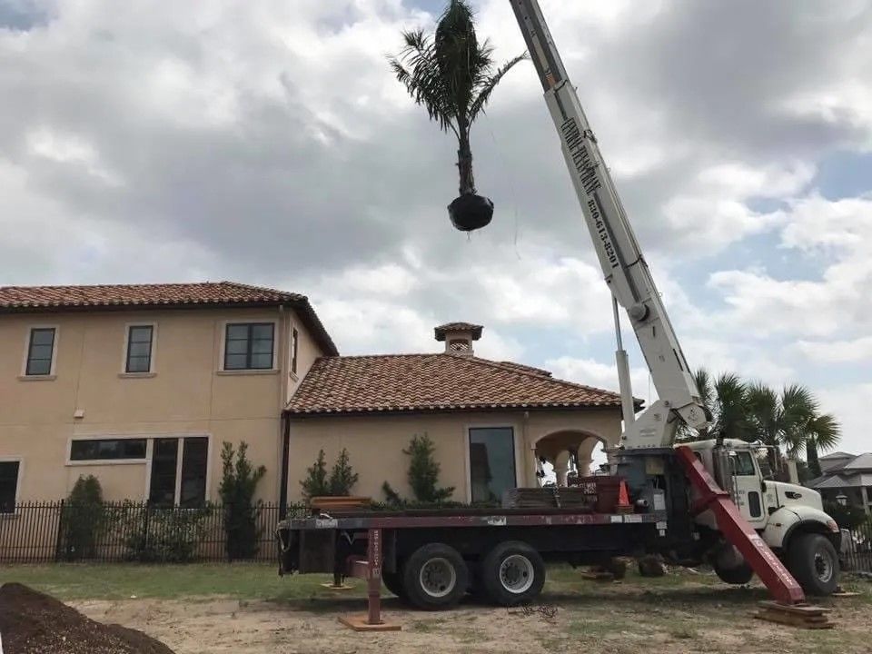 A crane is lifting a tree from a truck in front of a house