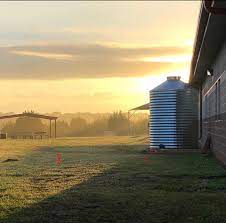Commercial water tank agriculture solutions