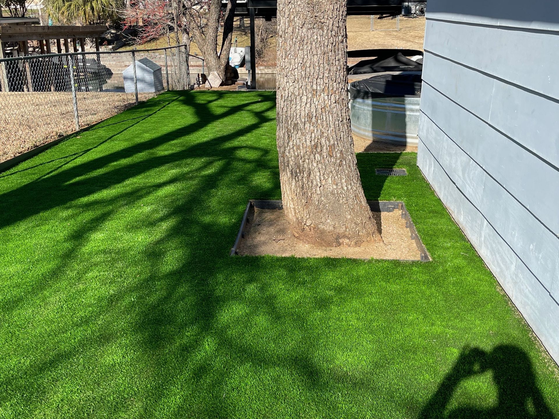 A tree is sitting in the middle of a lush green lawn next to a house.