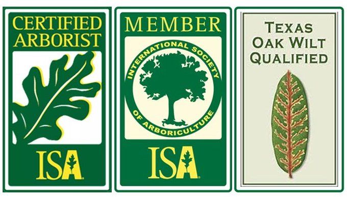 Certified Arborist ISA and Texas Oak Wilt Qualified- Logo