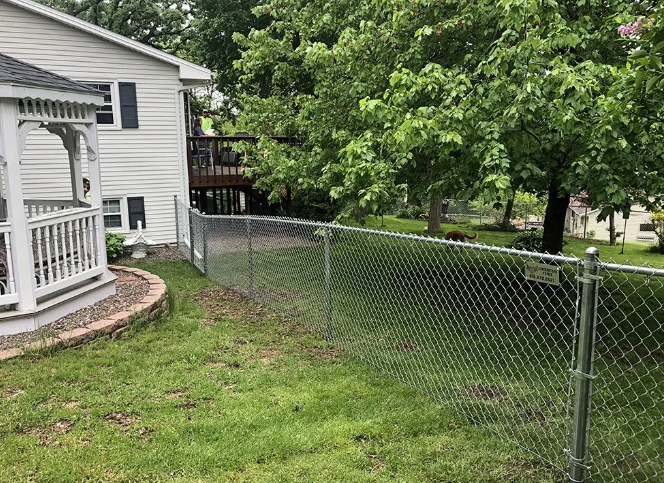 Chain-link fence borders a grassy yard, beside a white gazebo and house with a deck, and trees in the background.