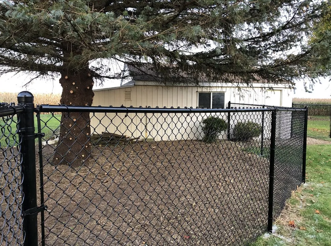 Black chain-link fence surrounds a tree and part of a white building with a window; green grass in the foreground.