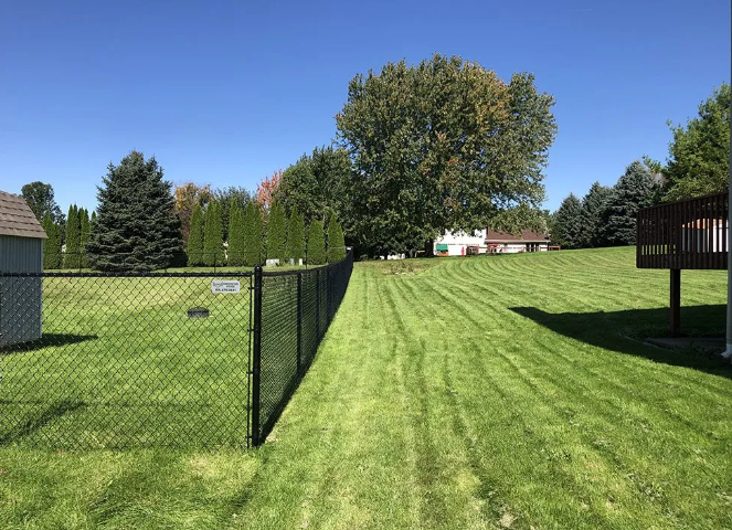 Black chain-link fence lines a grassy yard. Trees and a house are in the background on a sunny day.