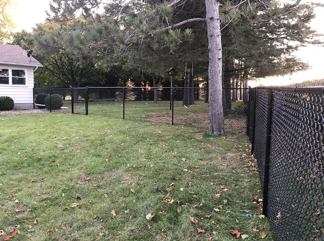 Black chain-link fence in backyard with trees, grass, and a white house.