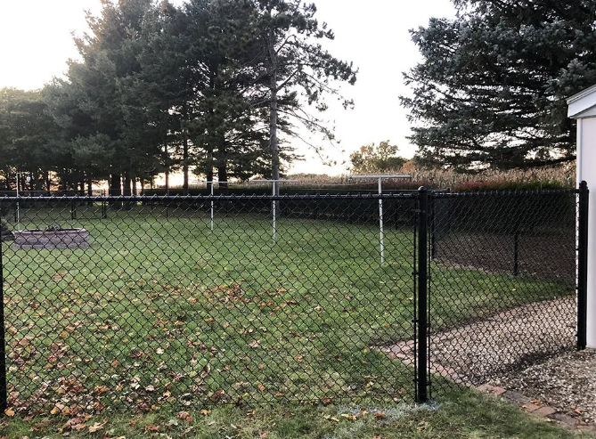 Black chain-link fence encloses a grassy yard. Trees in background, overcast sky.