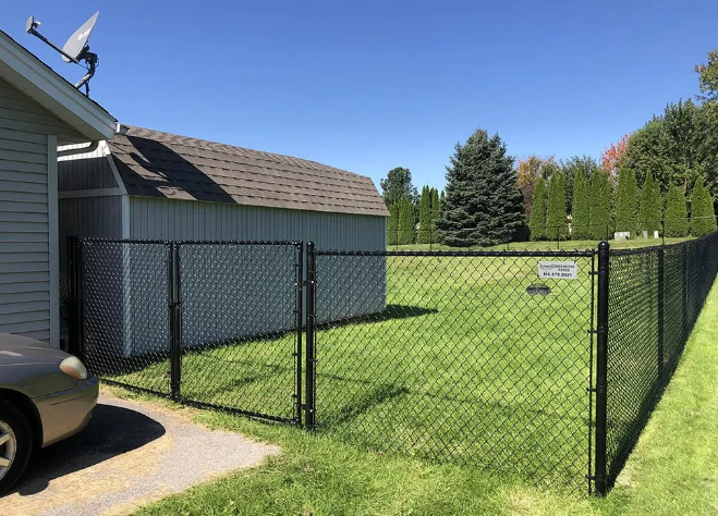 Black chain-link fence encloses a green lawn, shed, and part of a house under a clear blue sky.