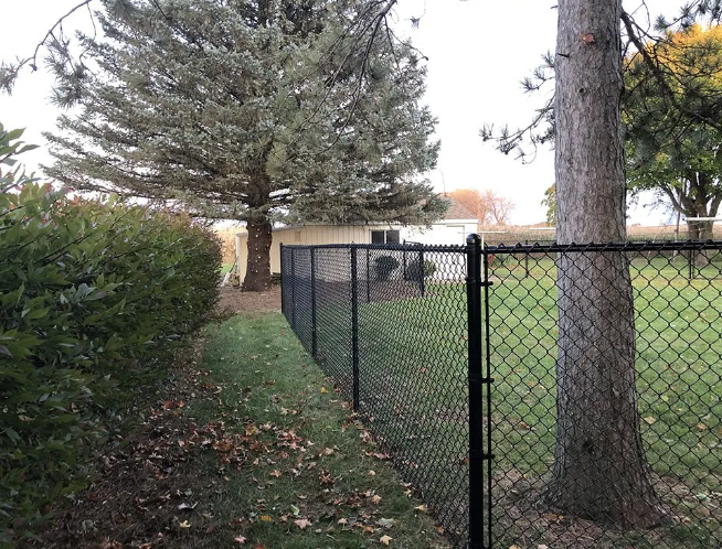 Black chain-link fence bordering a grassy yard, trees in background, overcast sky.