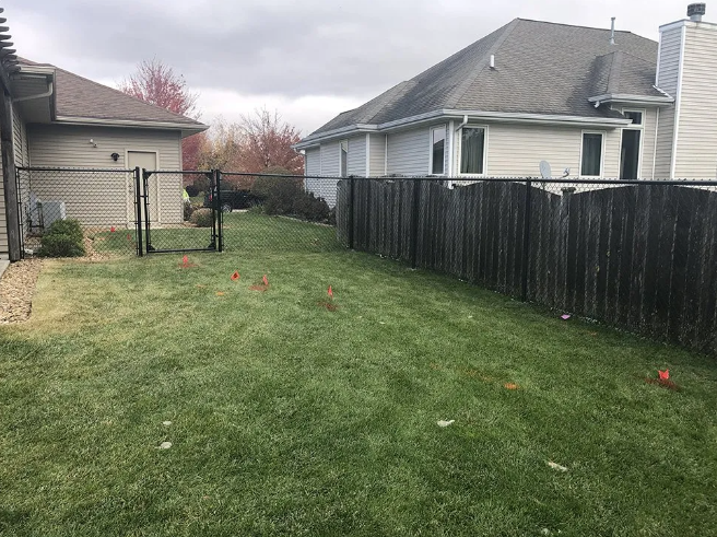 Backyard with chain link and wooden fences, green grass, and houses under an overcast sky.