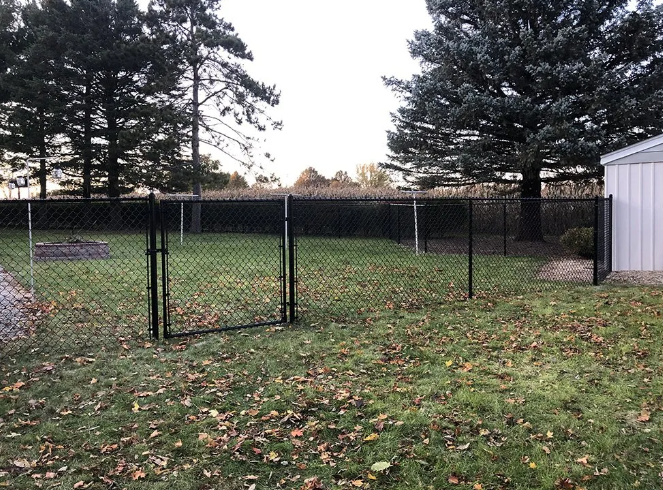 Black chain-link fence with a gate in a grassy backyard, trees in the background, and a white shed on the right.