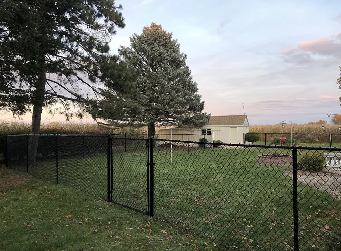 Black chain-link fence encloses a green lawn, with a light-colored shed and trees in the background under a cloudy sky.