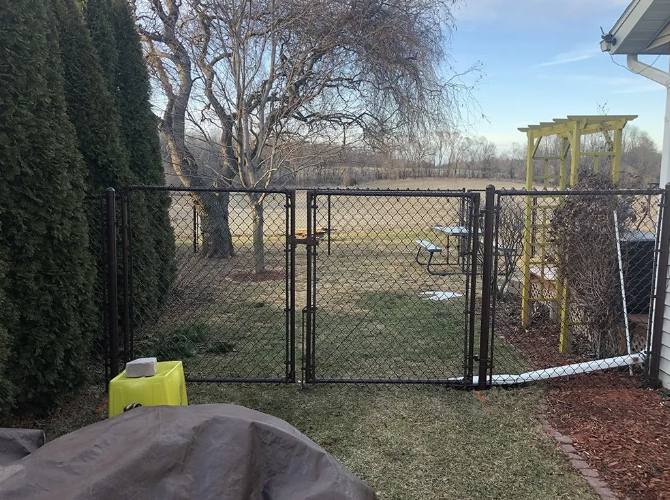 A brown chain-link fence with a gate, next to evergreens and a backyard with a yellow structure.