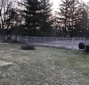 Chain-link fence encloses a backyard with brown grass, trees, and a dark storage container.