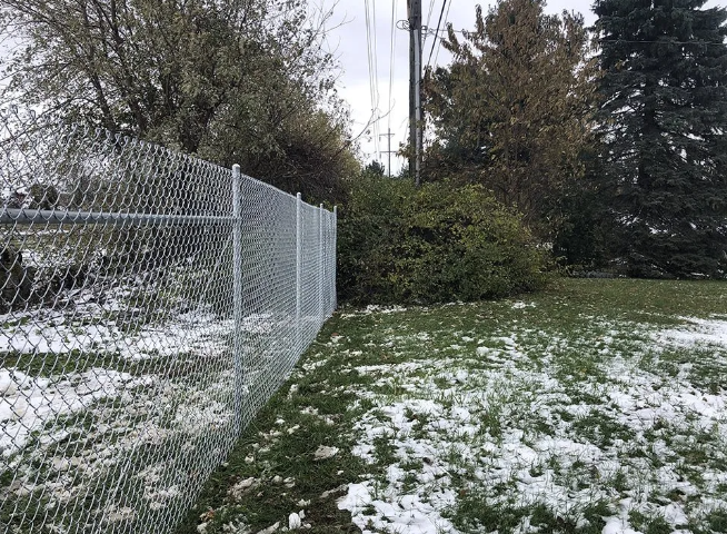 Chain-link fence borders a snow-covered lawn with trees in the background.