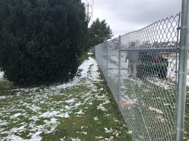 Chain-link fence borders a grassy area with patches of snow. A large evergreen bush is on the left. Cloudy sky.