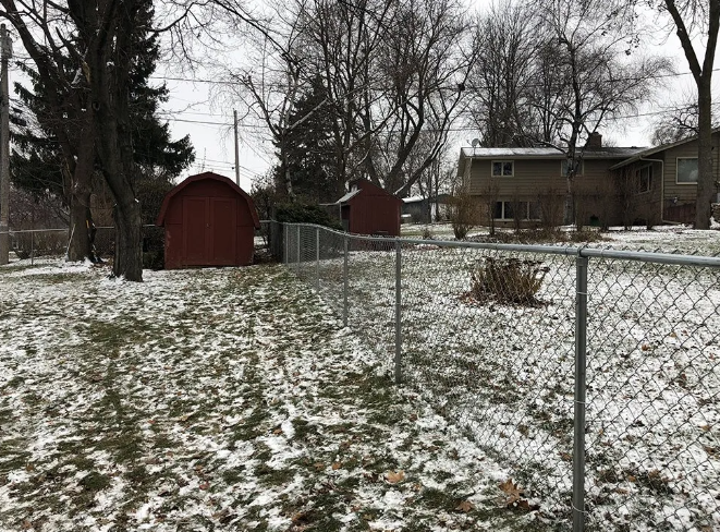 Snowy backyard with a chain-link fence, two red sheds, and a house.