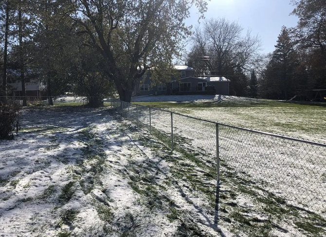 Snowy backyard with a chain-link fence, green grass, and trees under a bright sky.