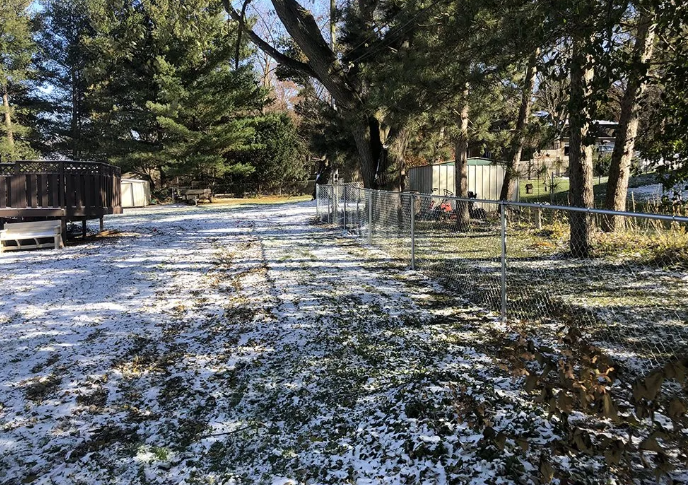 Snowy backyard with a fence, trees, and a shed on a sunny day.