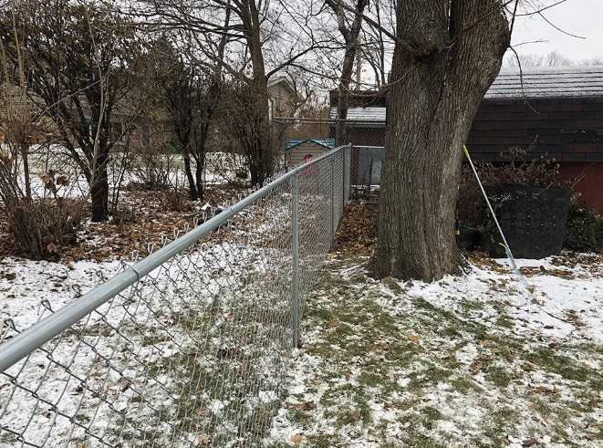 Chain-link fence in a snowy yard next to a tree, a building, and leafless bushes.
