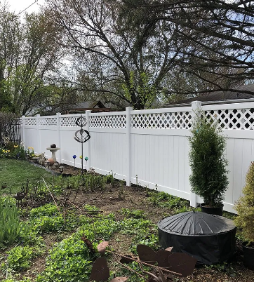 White vinyl fence with lattice top in a backyard garden with green plants.