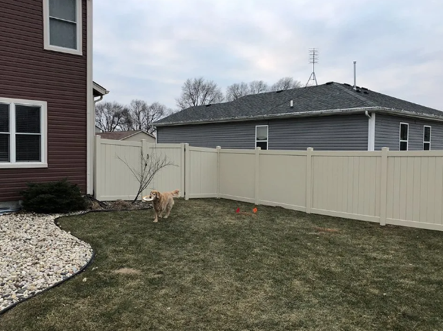 Tan dog runs in a fenced backyard with a house, grass, and a cloudy sky.