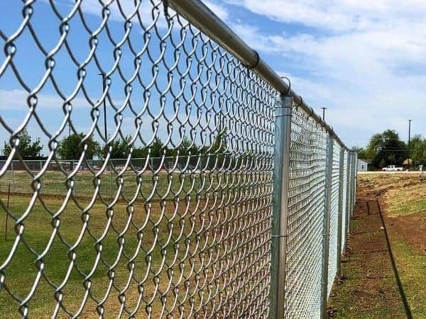 Chain-link fence in focus; green grass and blue sky background.