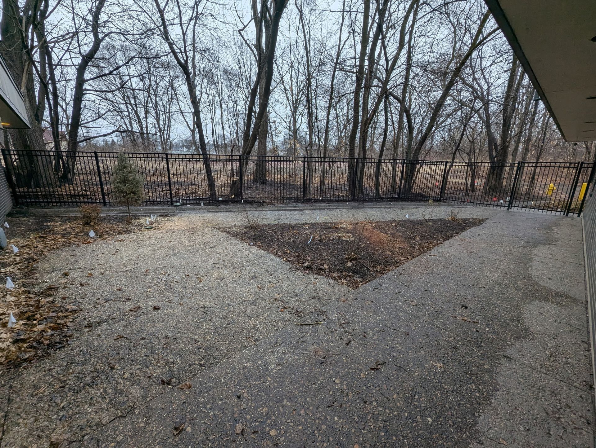 Gravel patio bordered by a black fence and trees. Dark patch of leaves in the center.