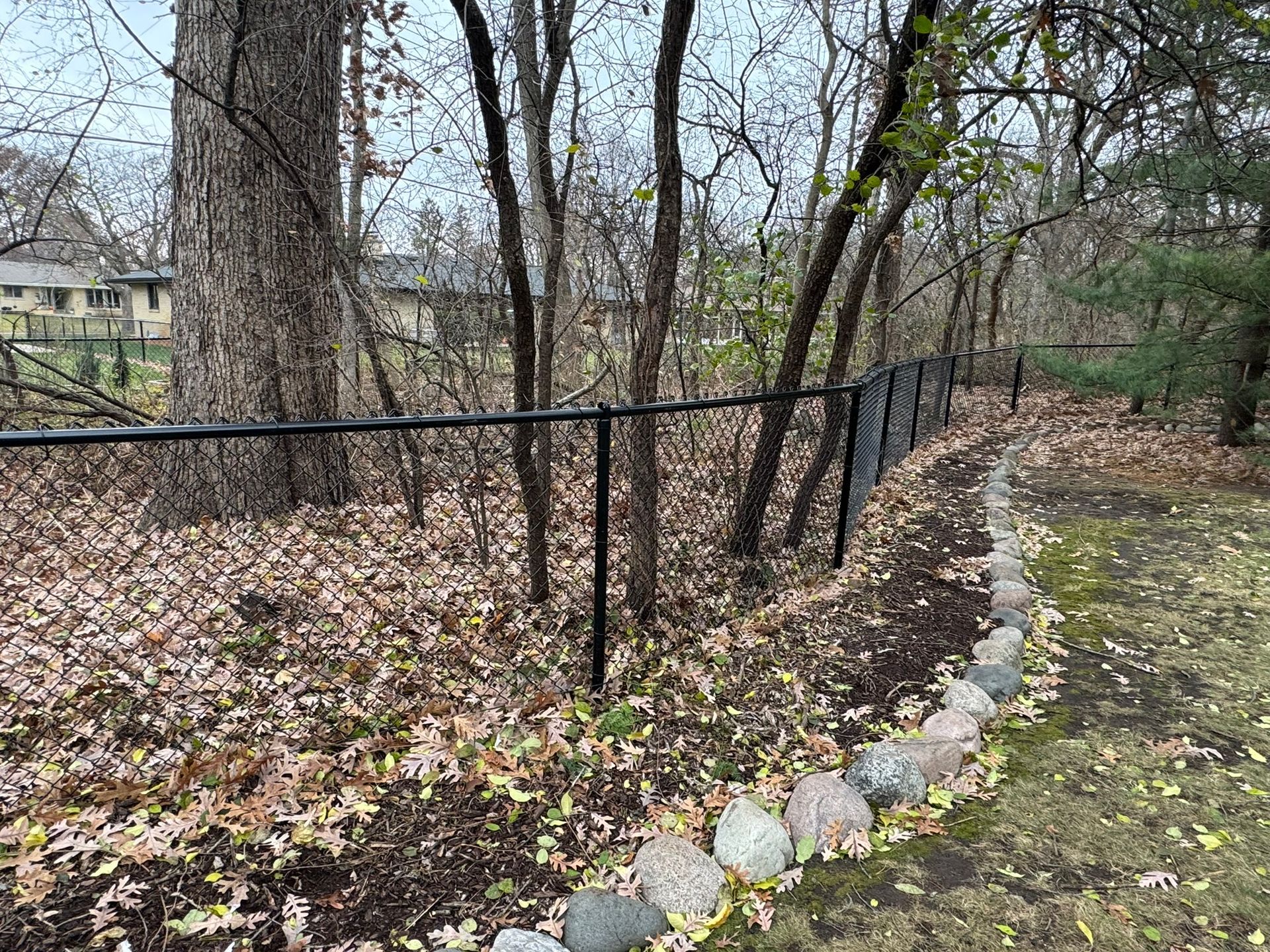 Black chain-link fence lines a yard with a border of rocks and fallen leaves near trees.