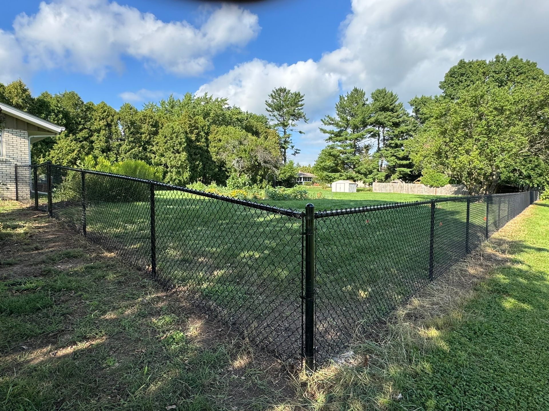 Black chain-link fence encloses a grassy yard, with trees and a partly cloudy blue sky in the background.