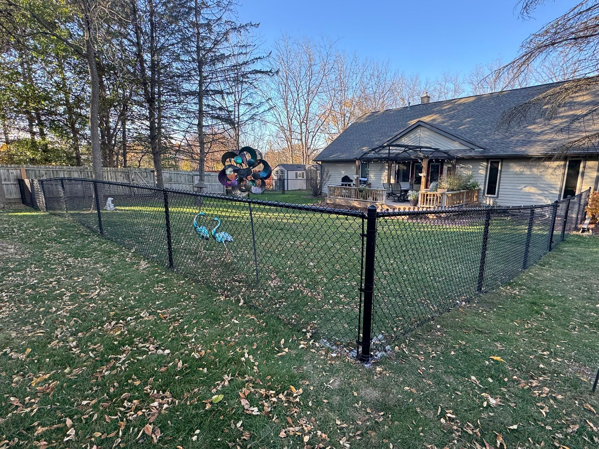 Black chain-link fence encloses a grassy backyard with a house, trees, and blue yard ornaments.