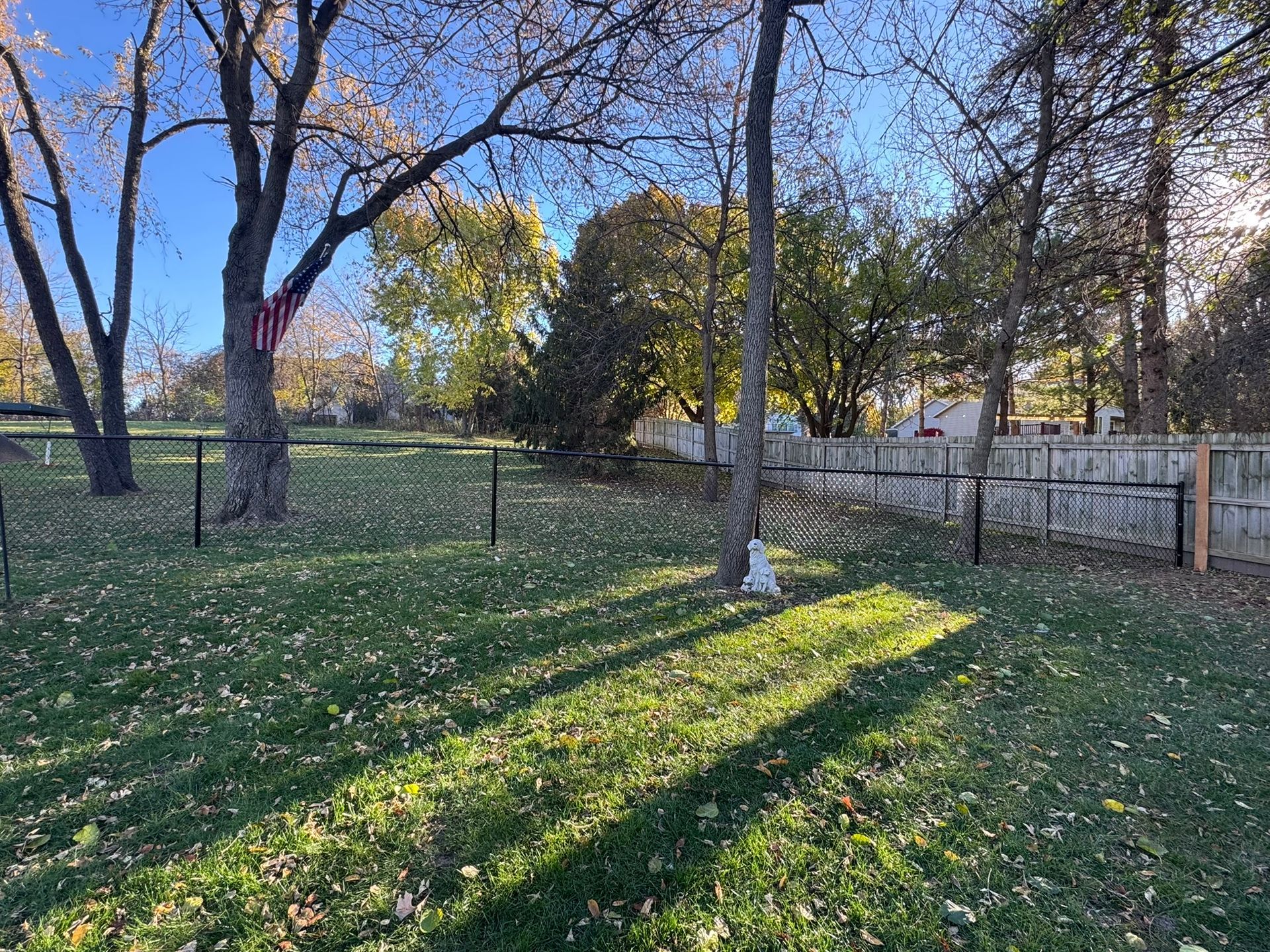 Grassy backyard with trees, a chain link fence, and sunlight.