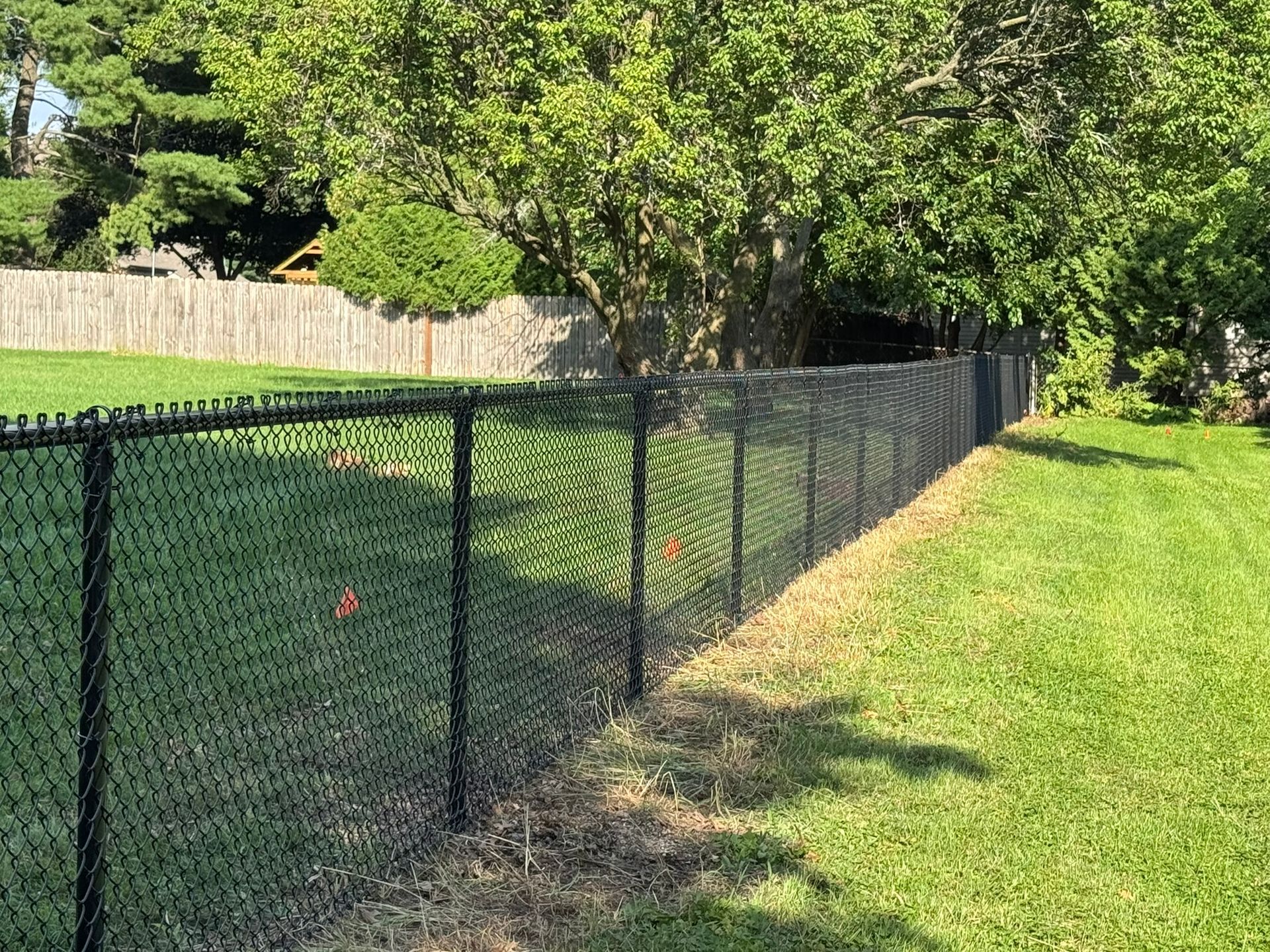 Black chain-link fence bordering a grassy yard, with a wooded area in the background.