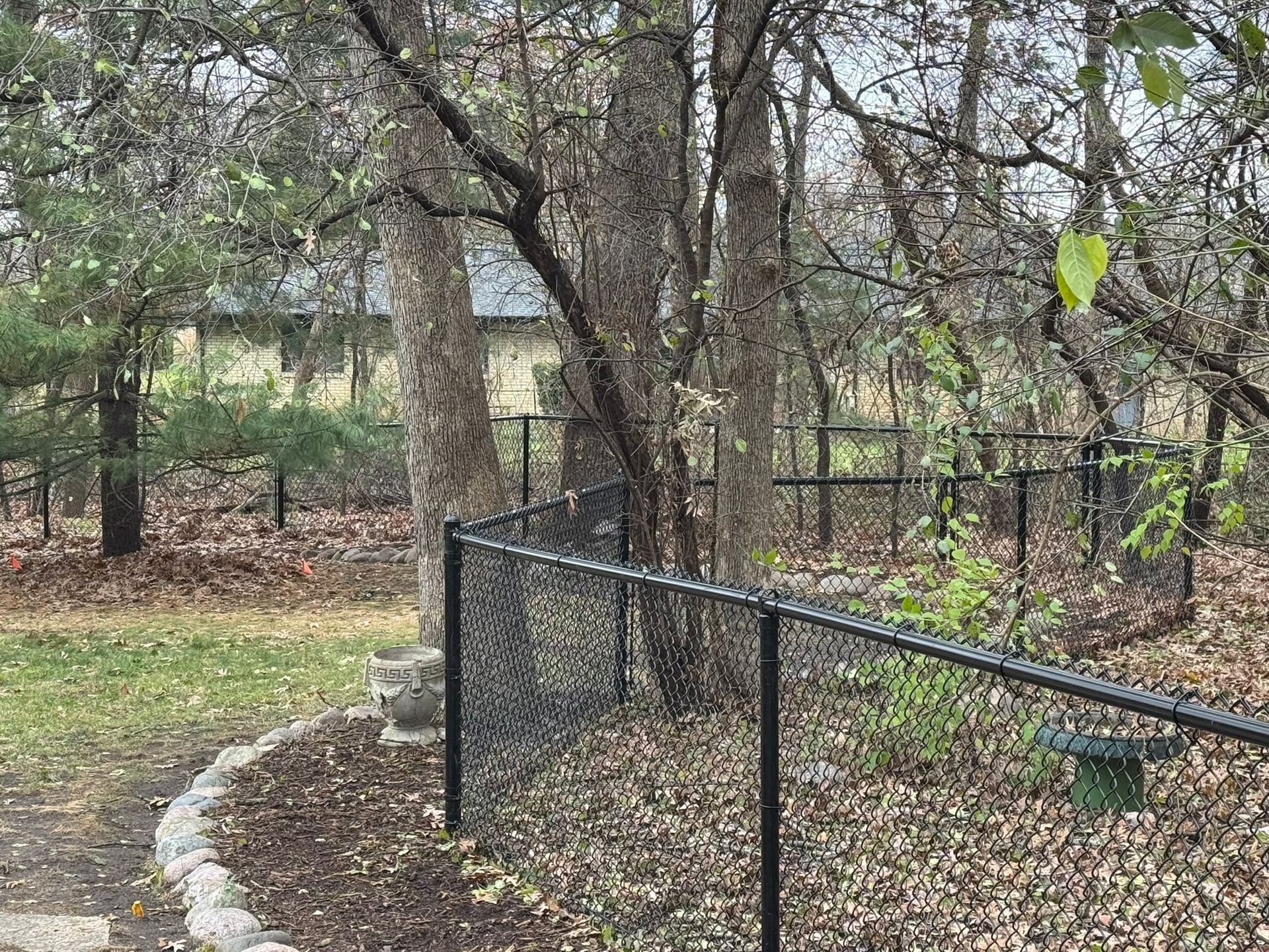 Black chain-link fence surrounds trees in a yard with fallen leaves and greenery.