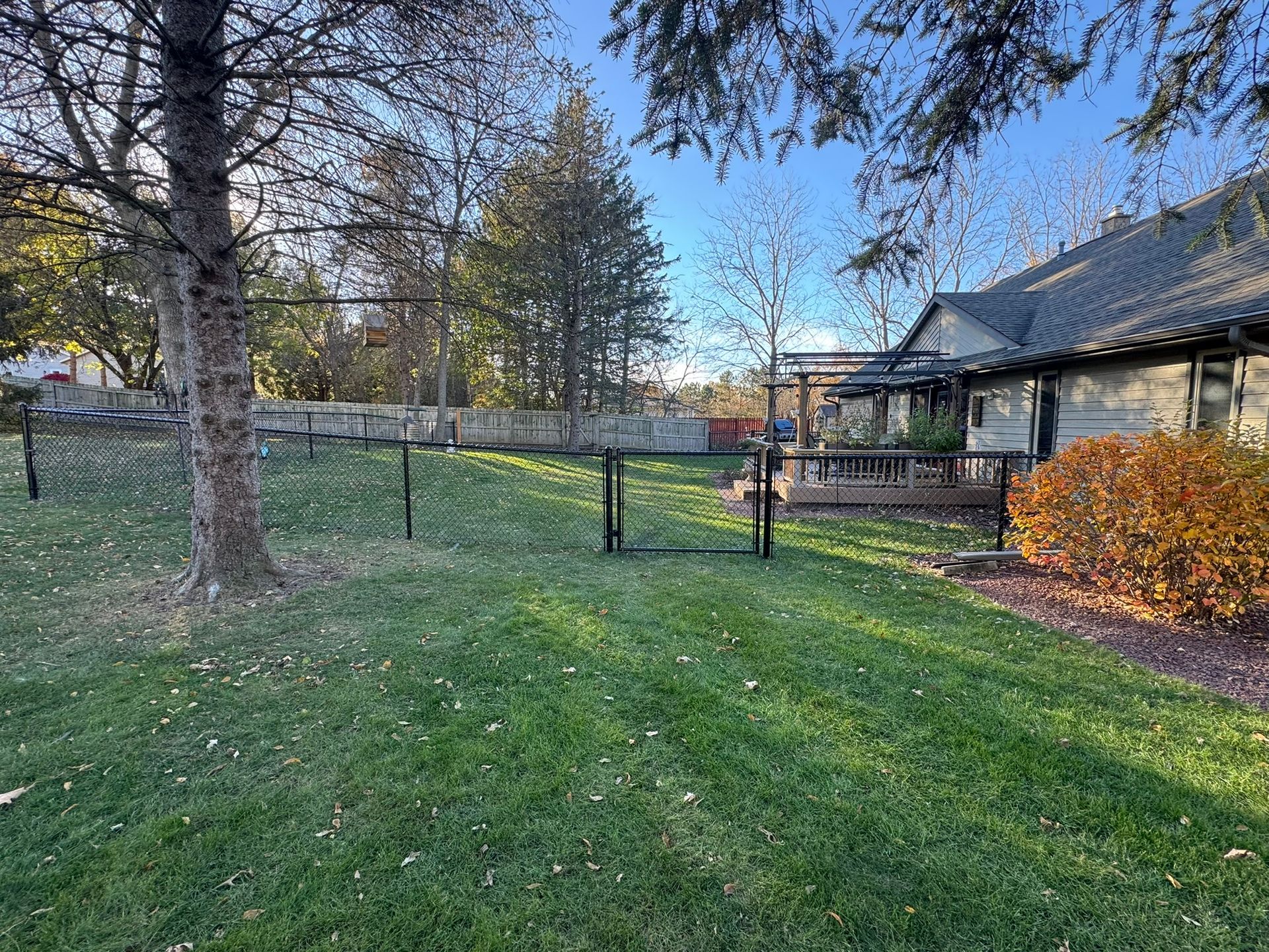 Backyard with a black metal fence, green grass, a tree, and a house with a dark roof.