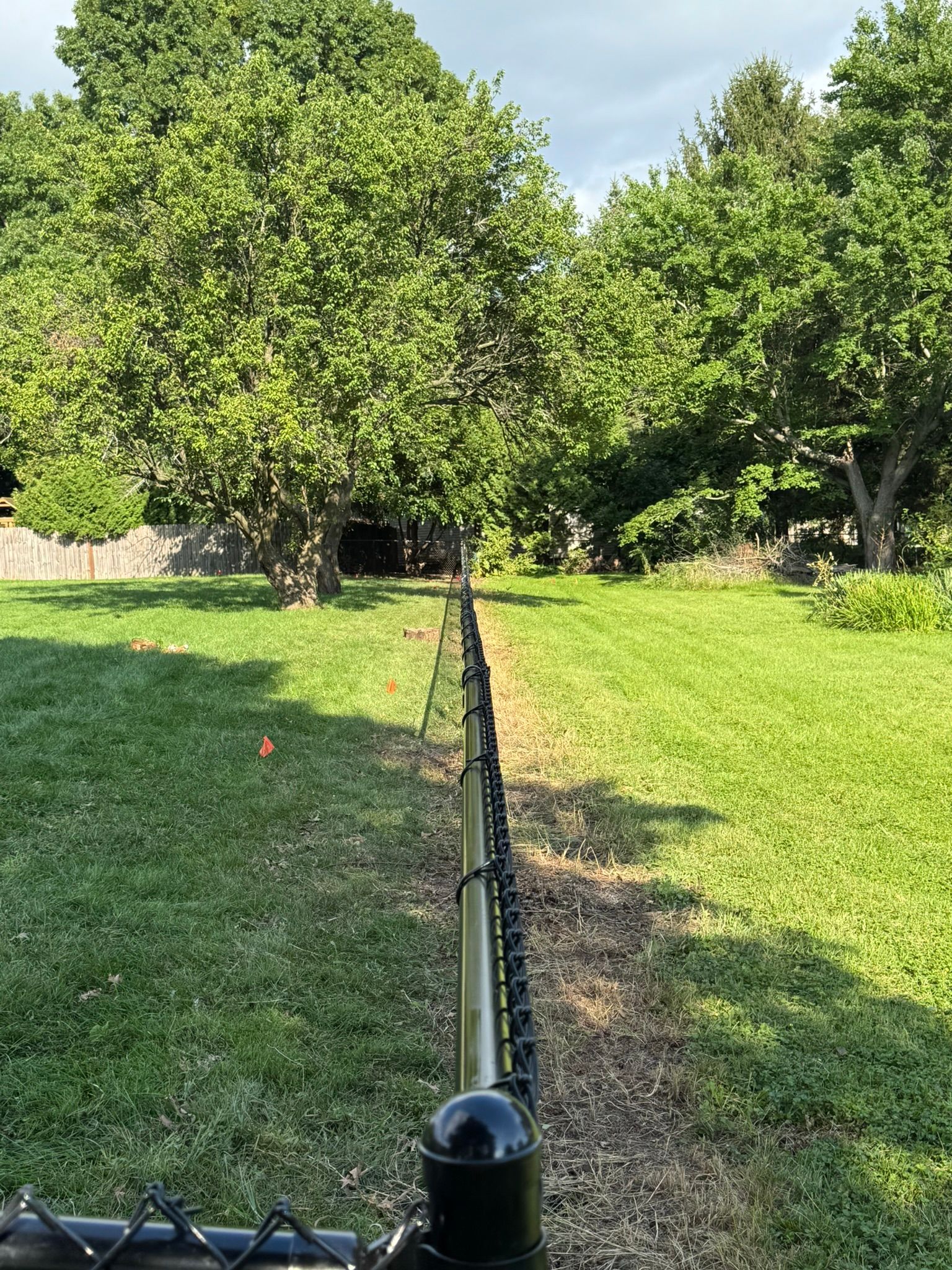 A black fence separating two green grassy lawns with trees in the background.