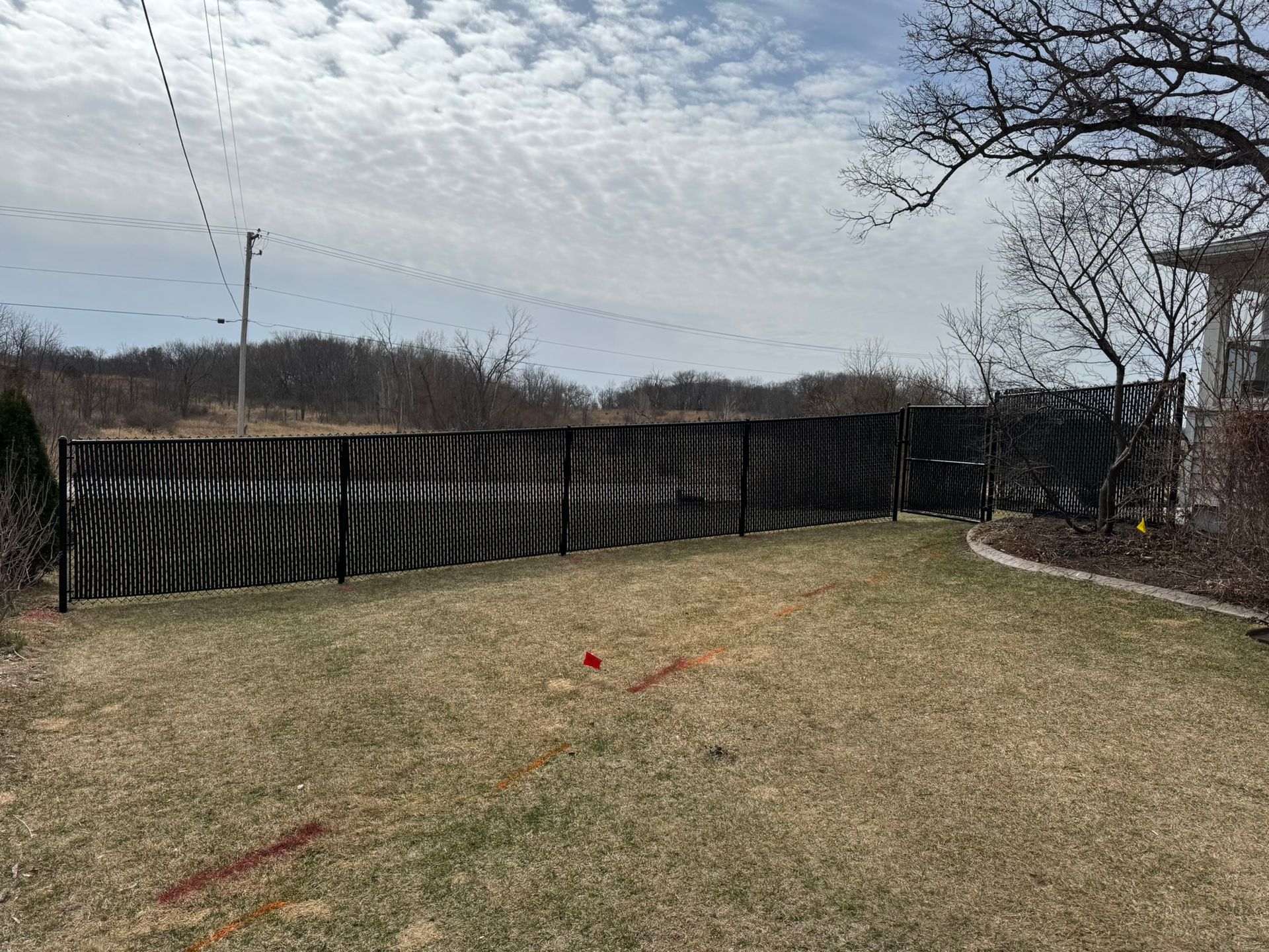 Backyard with zebra-striped fence, brown grass, and cloudy sky.