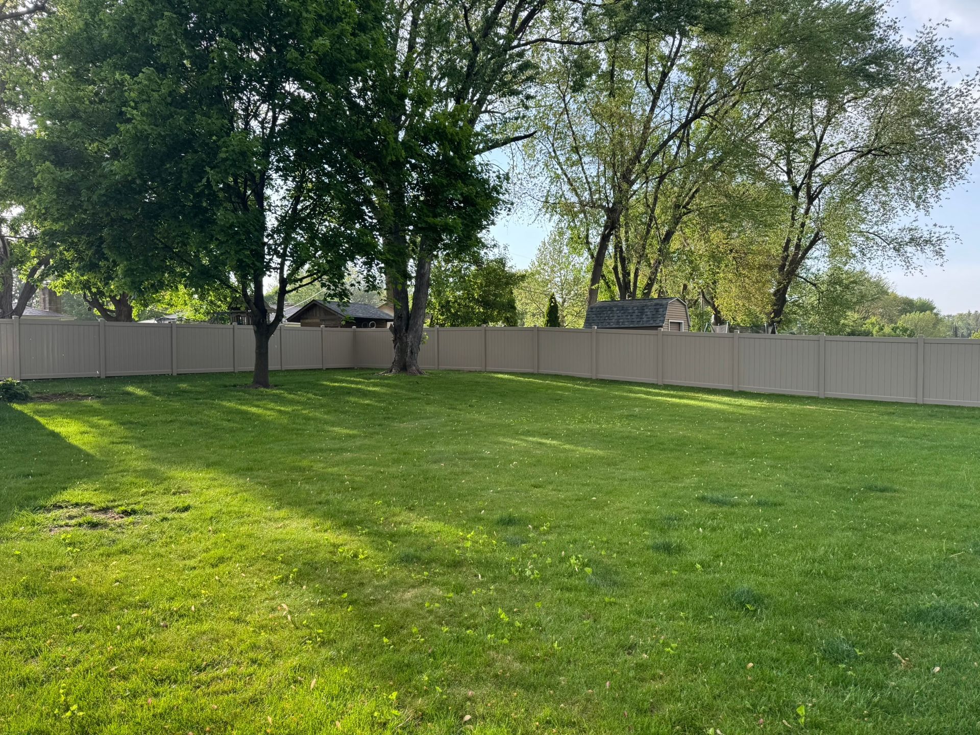 Green grassy backyard enclosed by a tan fence, trees in the background.