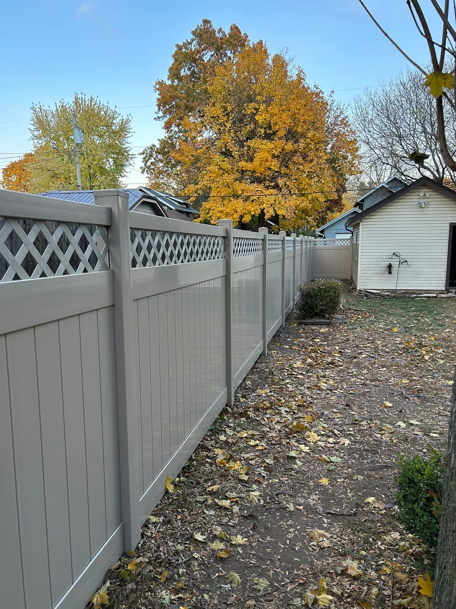 Gray fence alongside a backyard with fallen leaves, shed, and a tree with yellow leaves under a blue sky.