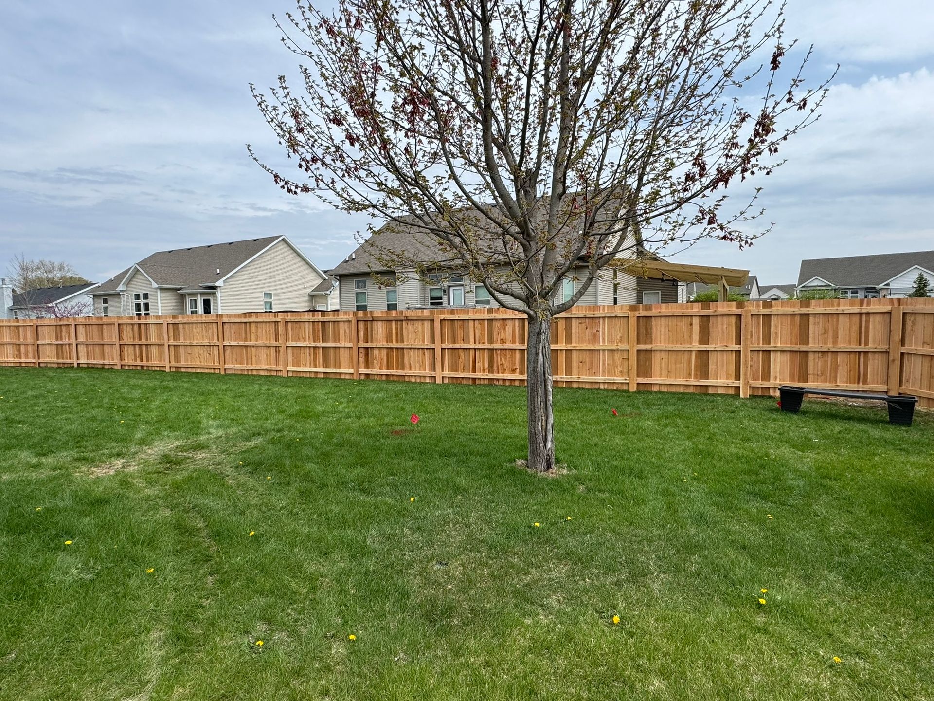 Wooden fence surrounding a grassy backyard with a tree. Houses are visible in the background.