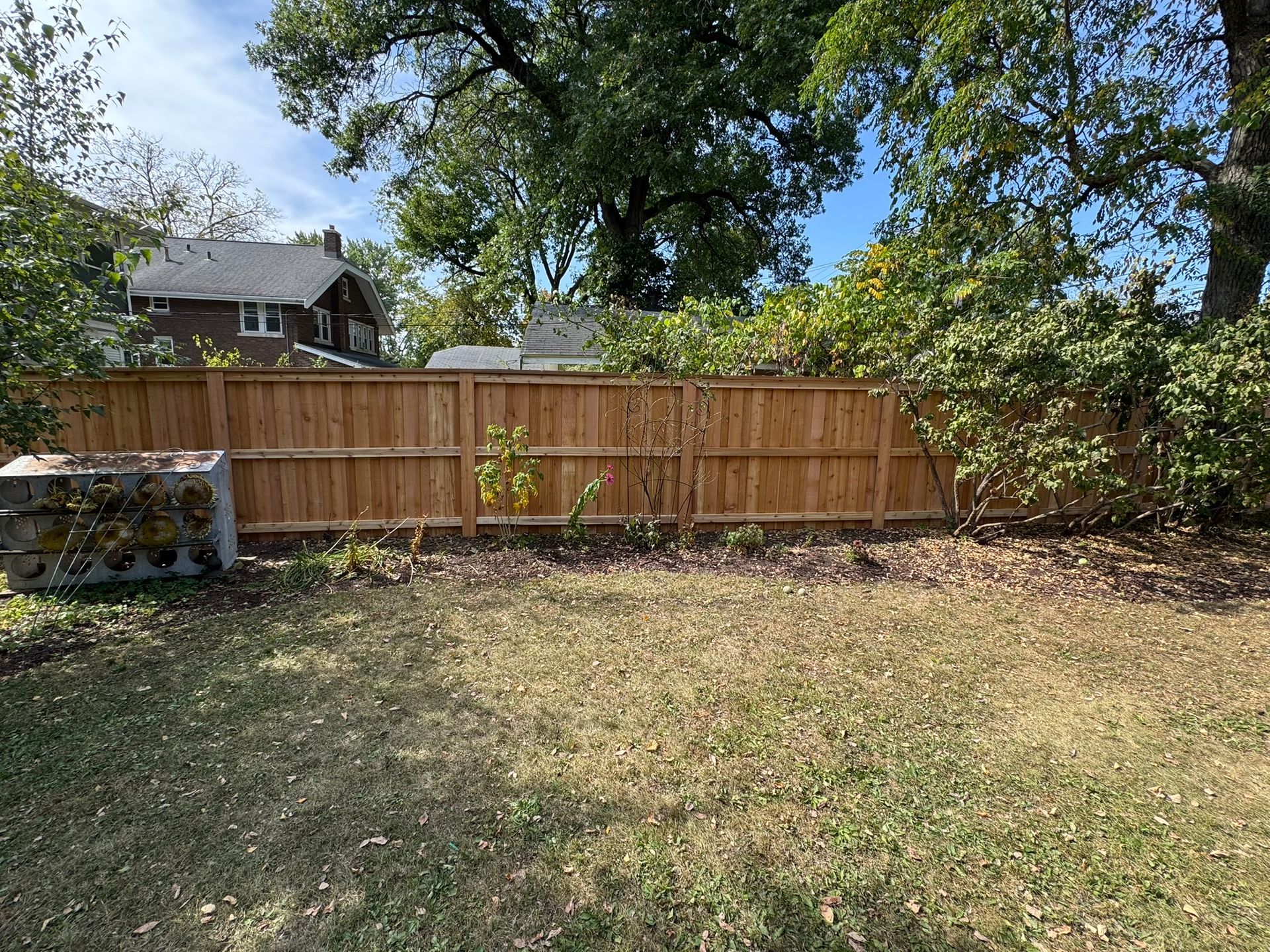 Wooden fence in a backyard with patchy grass and trees against a blue sky.