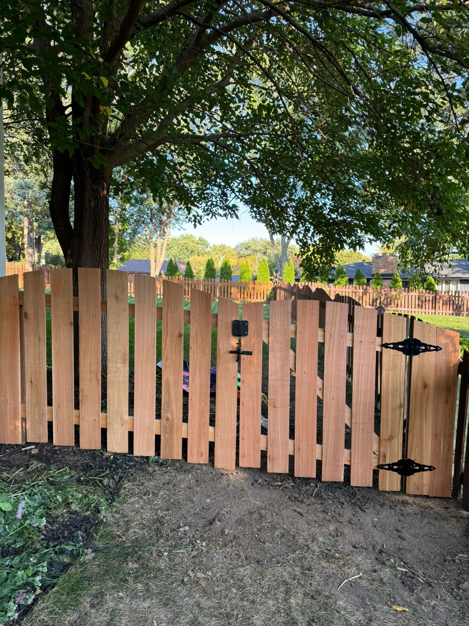 Wooden fence with a gate, in front of a tree.