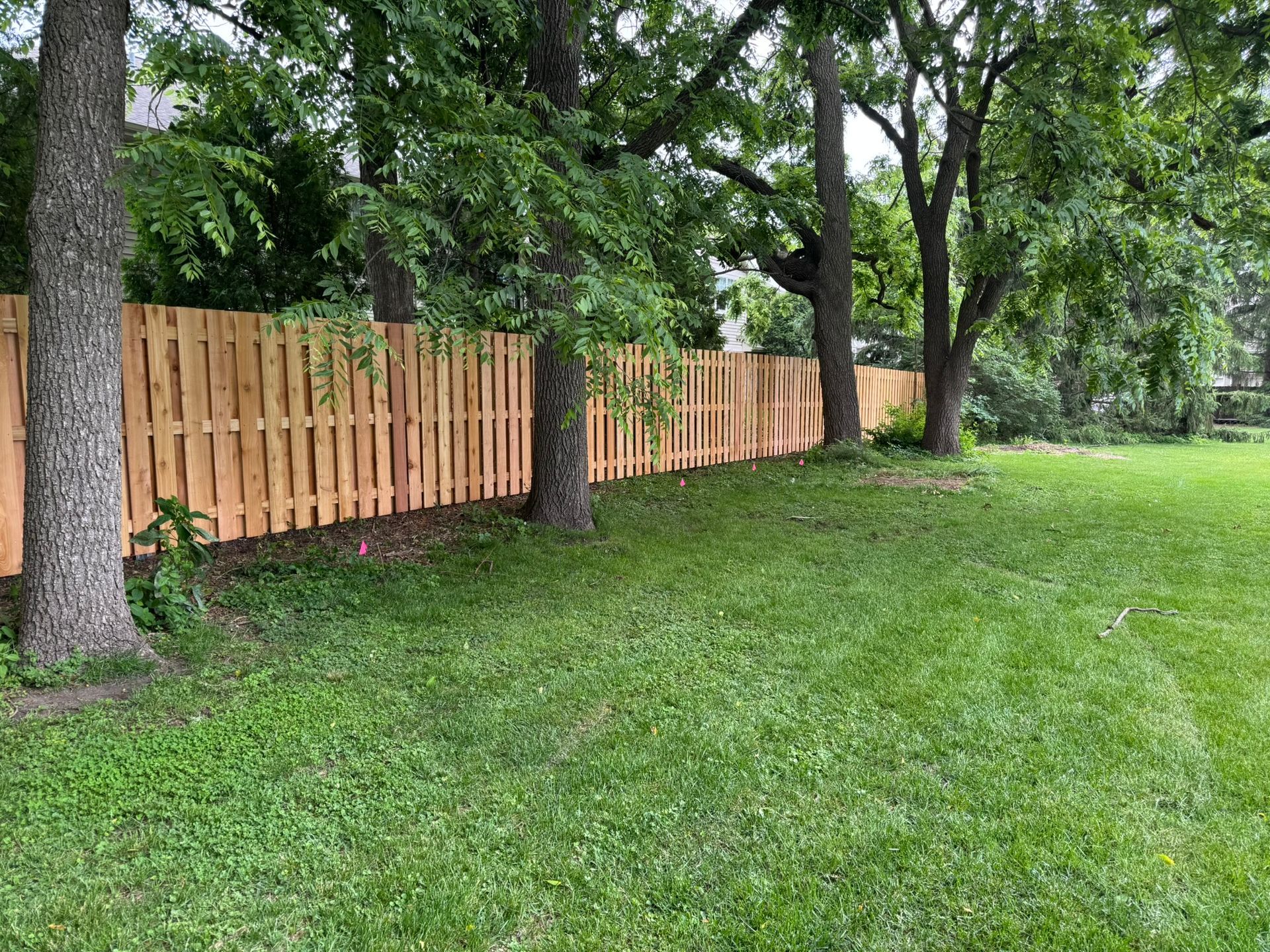 Wooden fence between trees in a grassy yard.