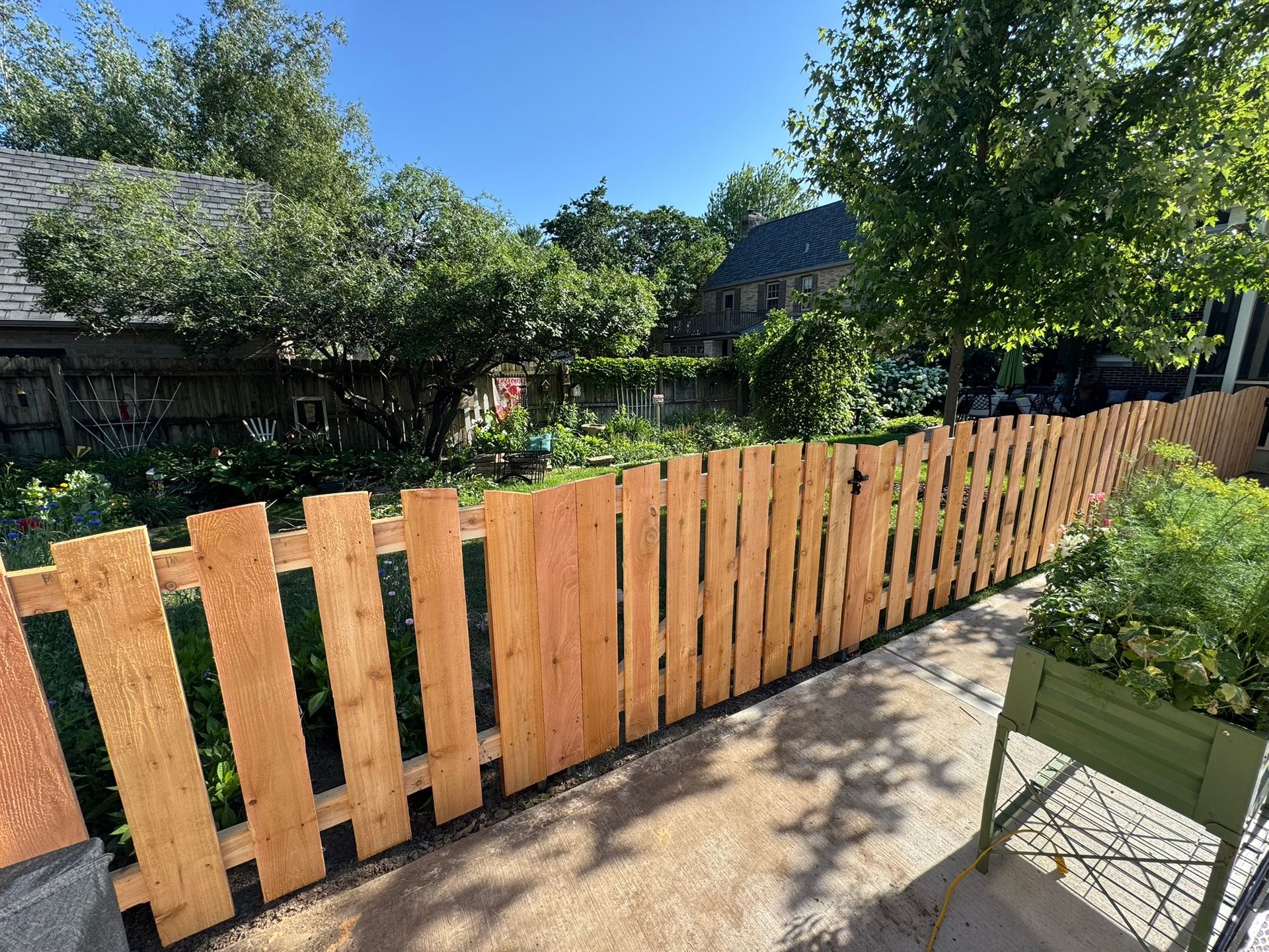 Wooden fence in a sunny backyard with greenery and a distant house.