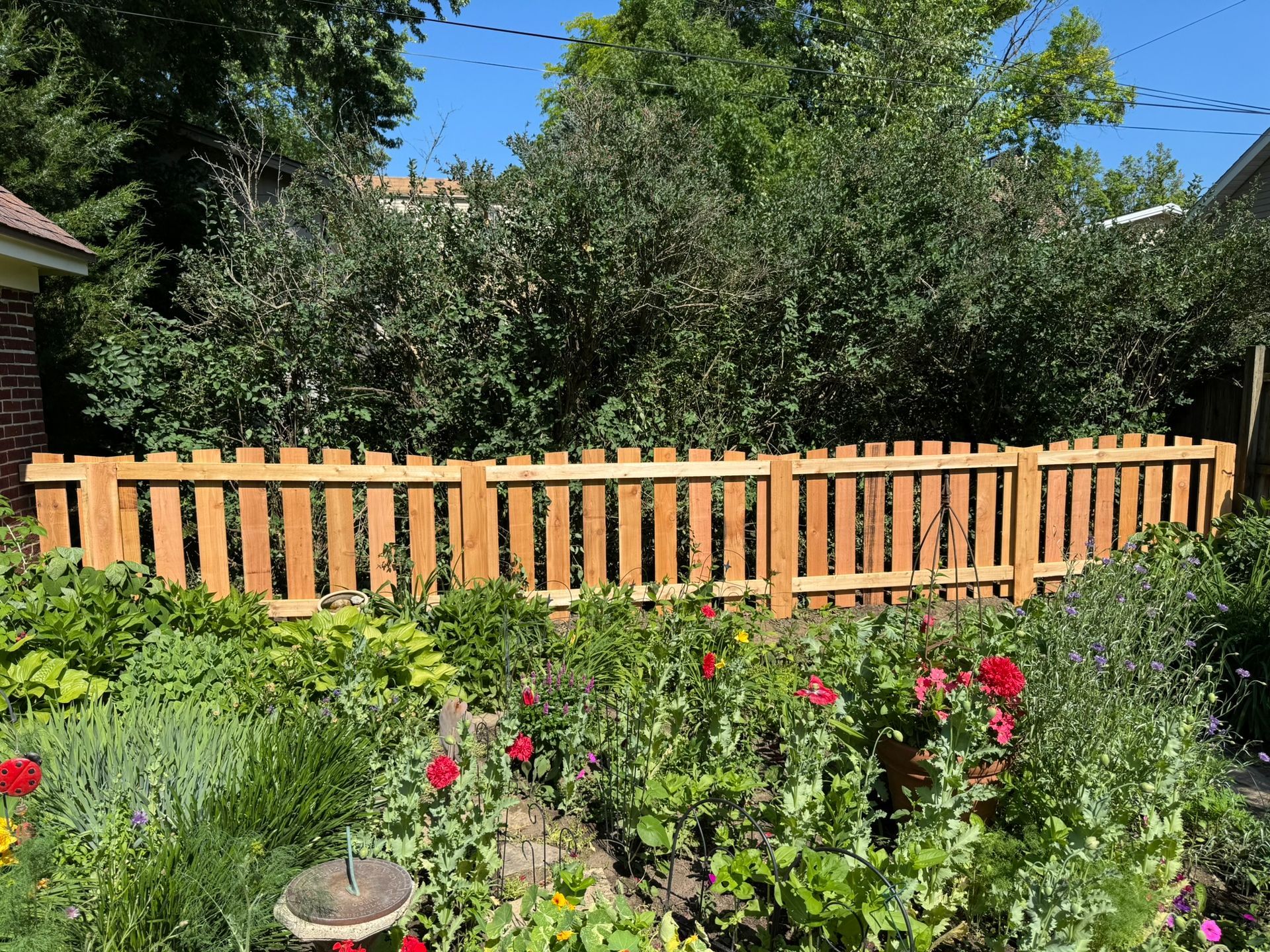 Wooden picket fence in a garden with red flowers and lush green foliage under a sunny sky.