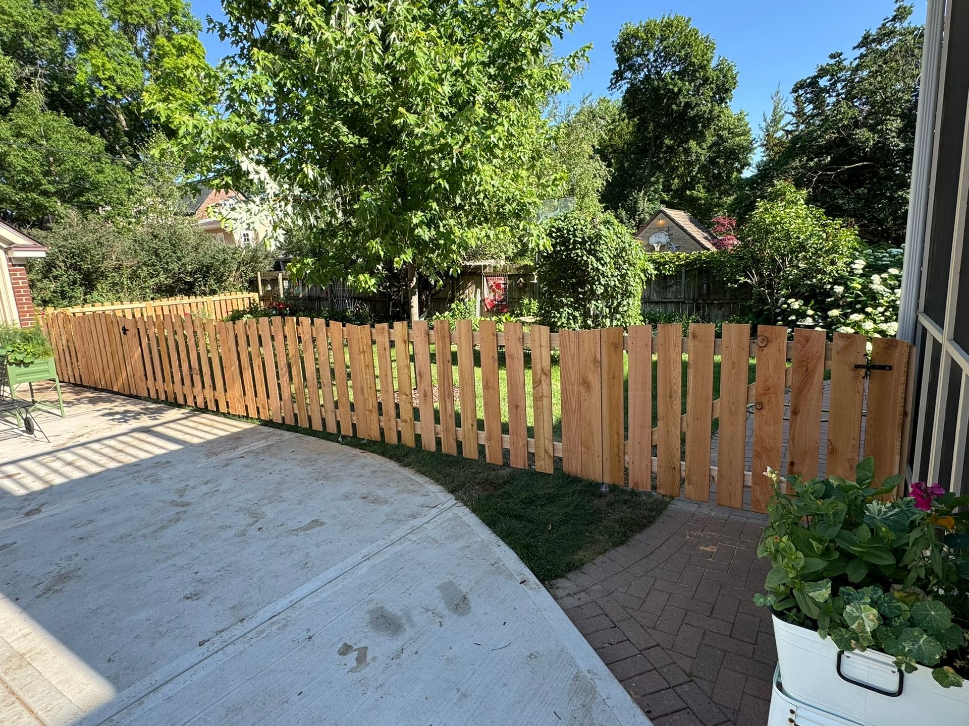 Wooden fence in a backyard, sunny day. Concrete patio in foreground. Green trees and sky visible.