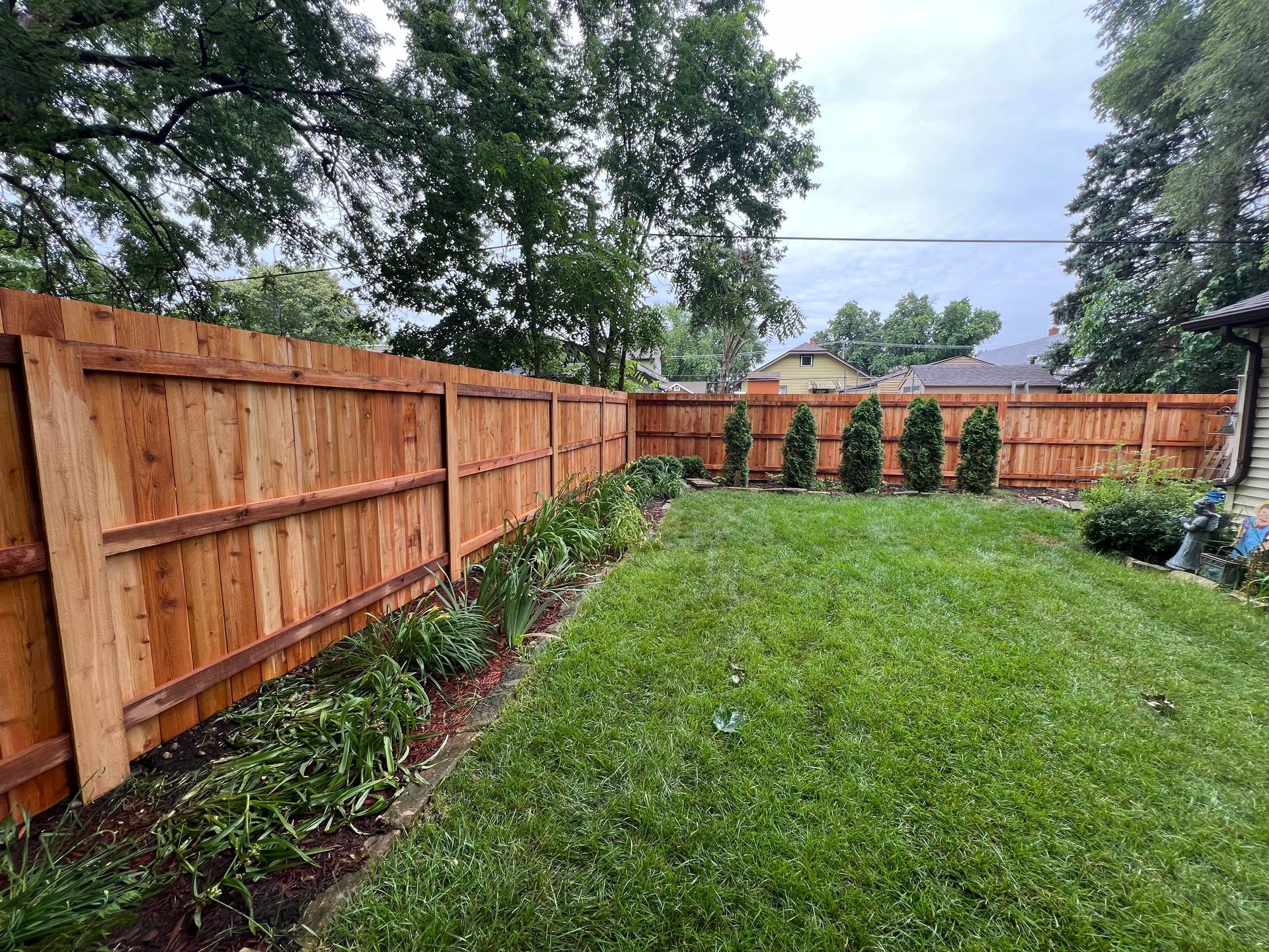 Wooden fence bordering a lush green lawn and garden. Evergreen trees stand in a row. Overcast sky.