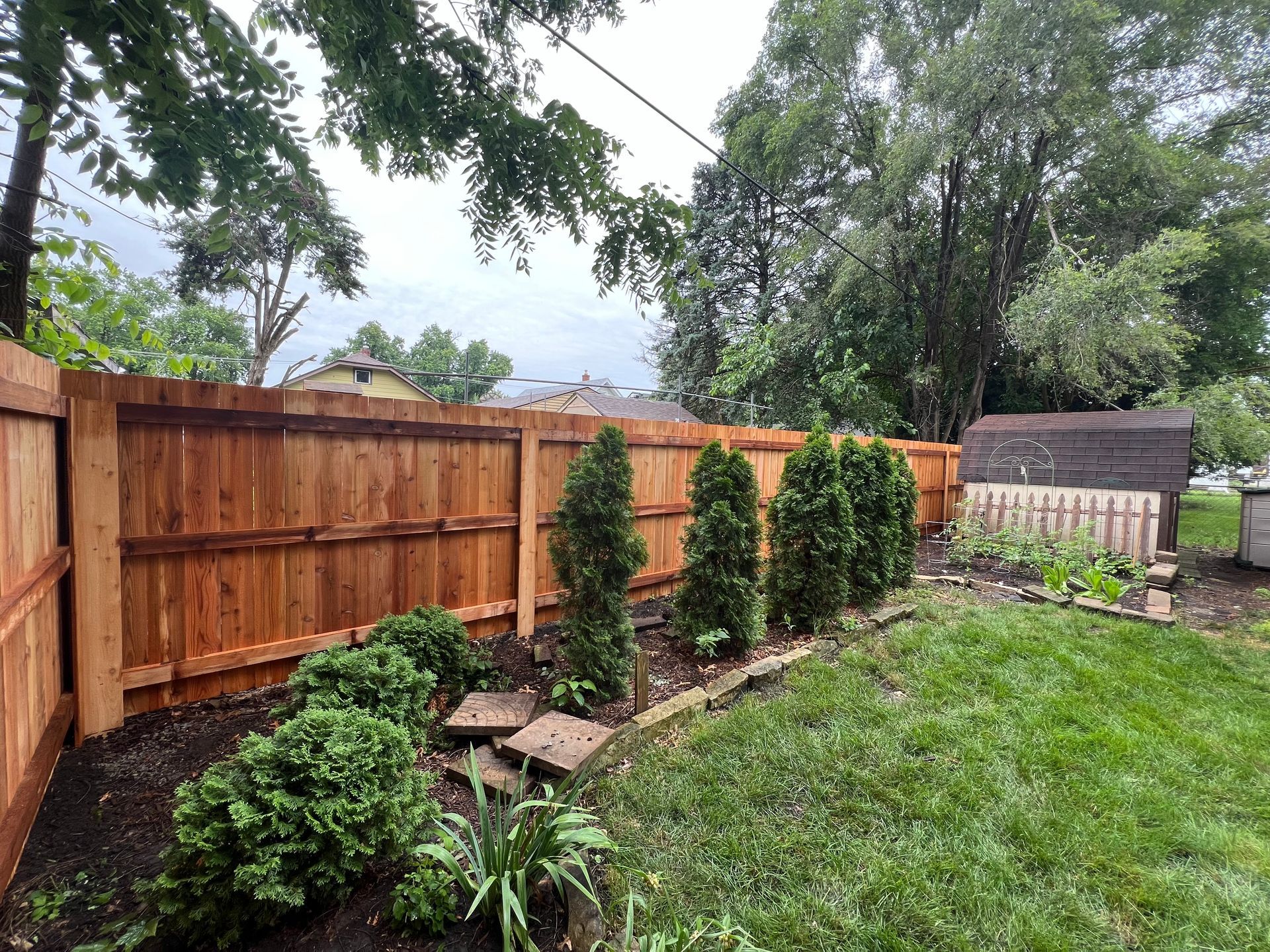 Wooden fence with evergreen trees and bushes along a yard with green grass.